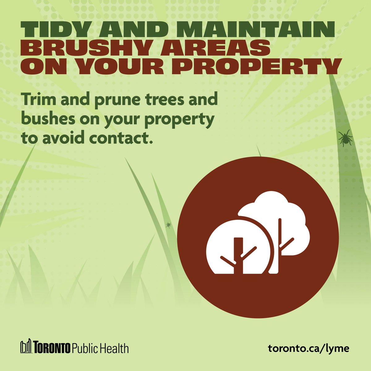 TOPublicHealth's tweet photo. We all have preferences – so do ticks. Overgrown, brushy areas are their ideal hangout.
Prevent tick bites starting from home, learn more: https://t.co/Dpnfr122QK
#BigTickEnergy
#TickTalkTO https://t.co/bUMUNsk8ip