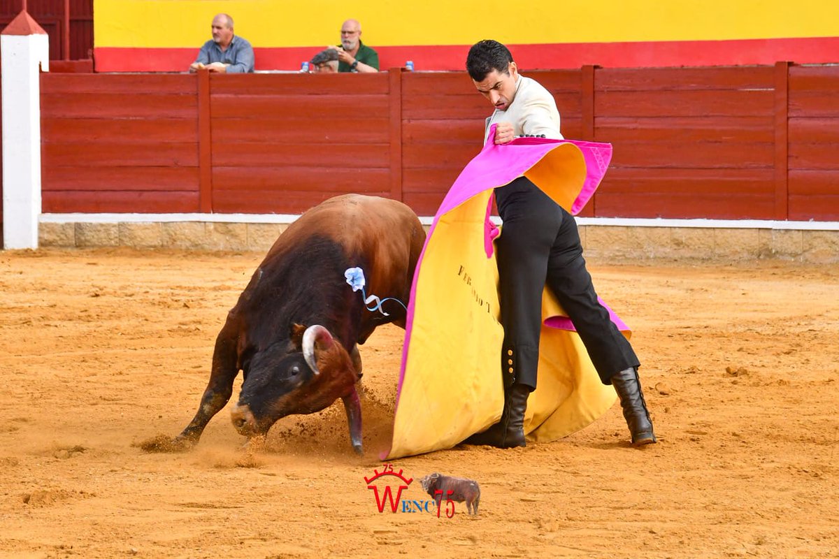 Ganadería E.Naranjo tweet media
