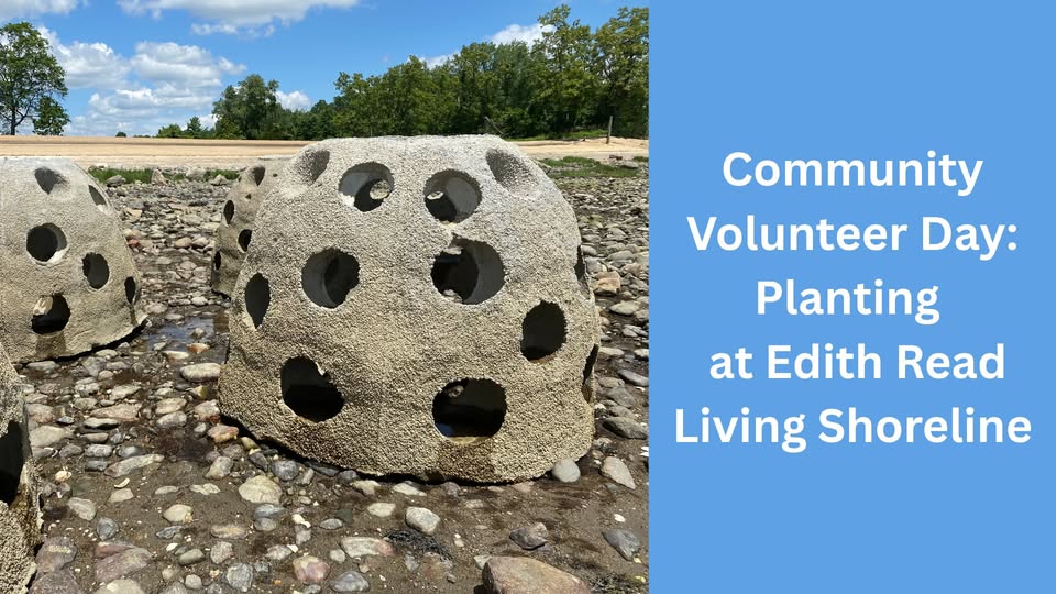 Join us for a day of community and conservation, at Edith G. Read Wildlife Sanctuary, this Thursday, October 2, from 12 p.m. to 3:30 p.m. as we plant native species to restore the shoreline of Edith G. Read Wildlife Sanctuary. Tools and gloves will be provided. 

To sign up,