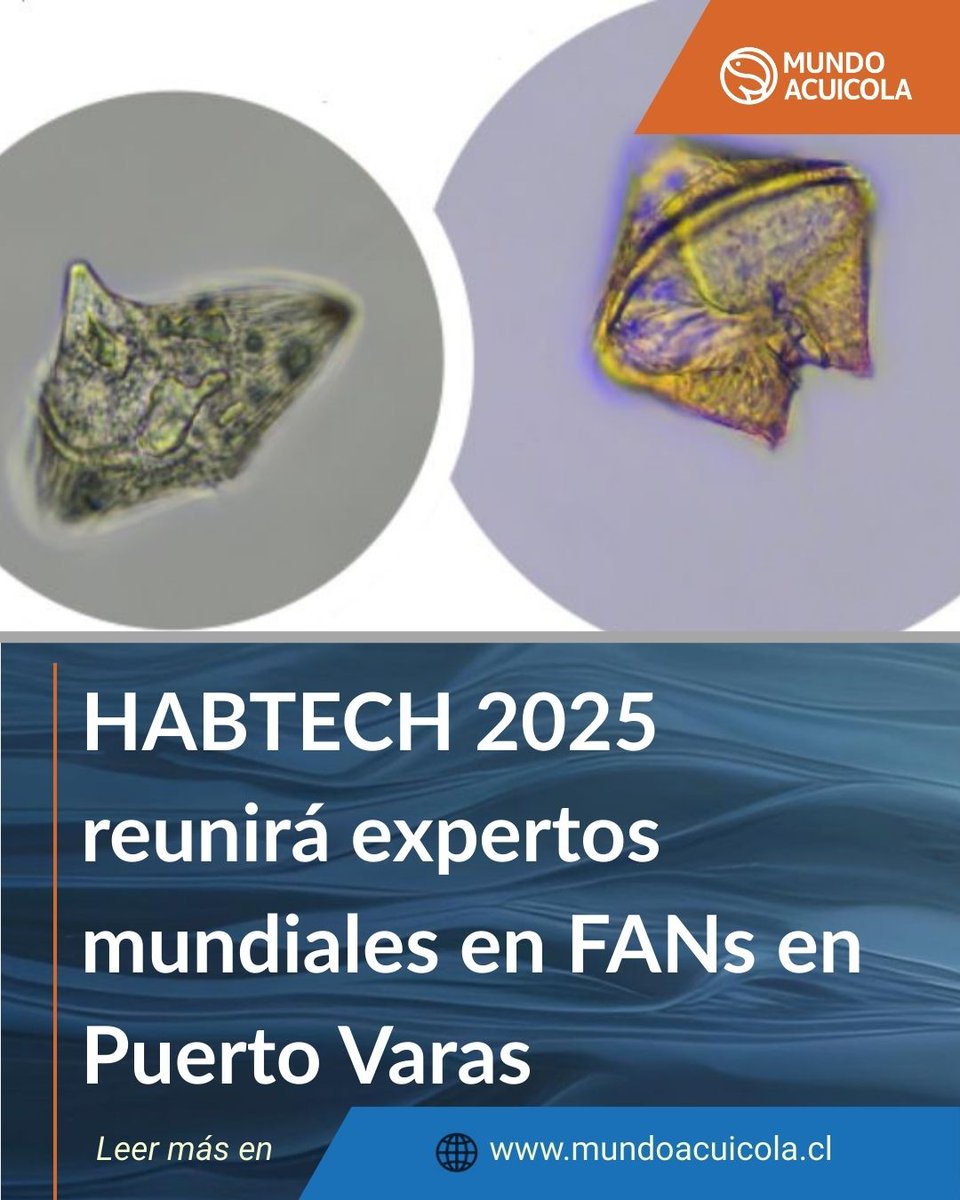 HABTECH 2025 reunirá en Puerto Varas expertos mundiales en sistemas FANS (agua salada, aire y nutrientes), para compartir soluciones tecnológicas y modelos sostenibles hacia una acuicultura más innovadora.

mundoacuicola.cl/new/habtech-20…