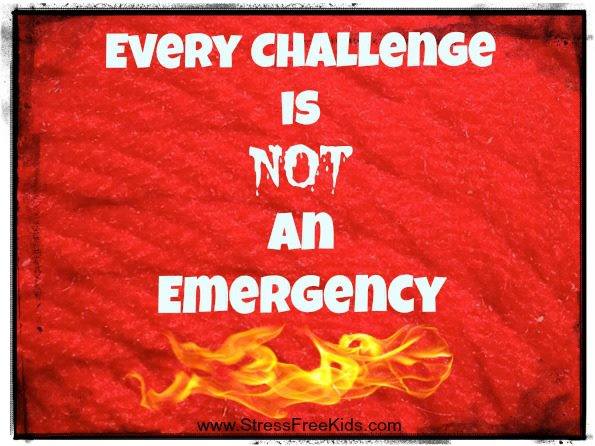 StressFreeKids's tweet photo. Every Challenge Is Not An Emergency https://t.co/bz4rGLbLfn