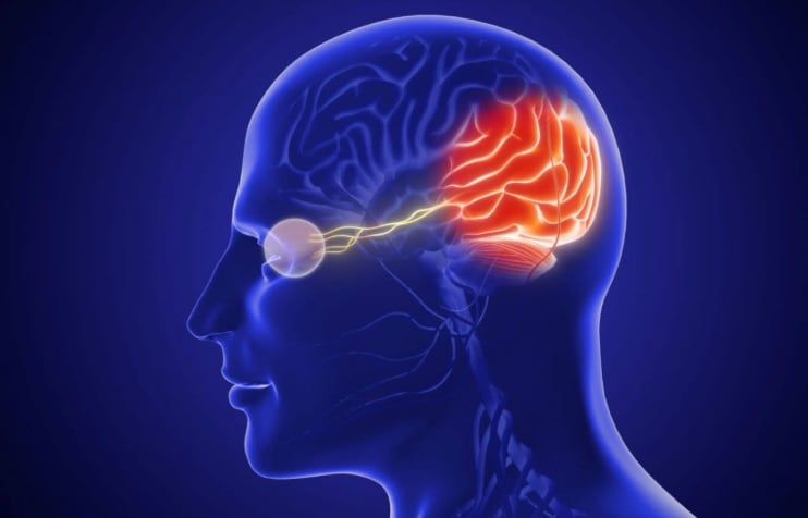 AllAboutVision's tweet photo. Cortical Visual Impairment (CVI) is a brain-based vision condition, not an eye problem. Though common in children, effects can last into adulthood. Signs include preferring bright colors/movement, delayed visual responses &amp; reliance on touch. Read more: https://t.co/CHcJLgmw7Z https://t.co/3iOsxTgLwS