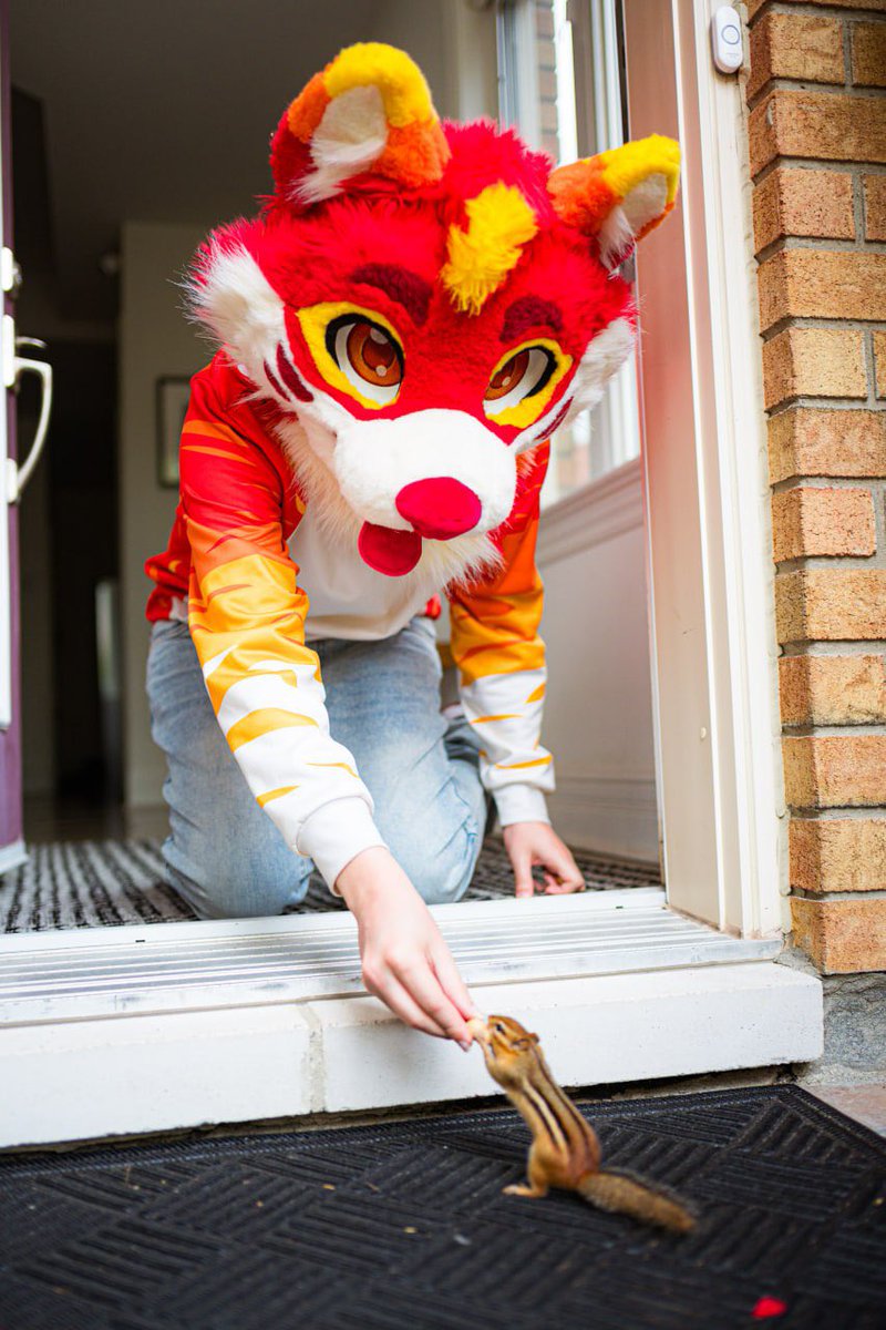 they call me snow white in my neighborhood ❤️

📸 <a href="/KryptochromeFox/">Kryptochrome</a>