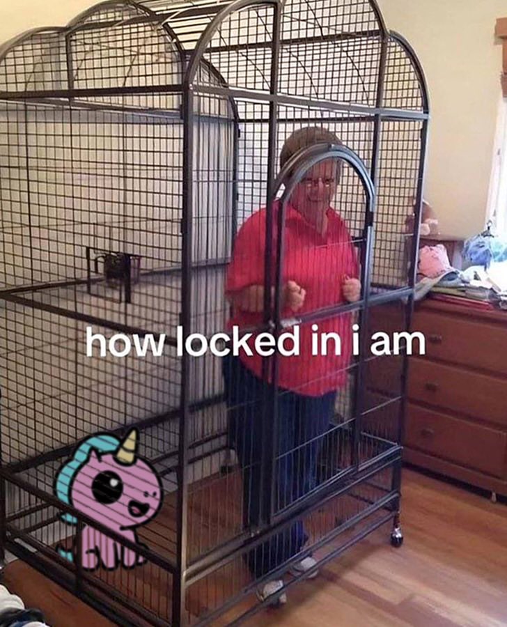 <a href="/JR5_Crypto/">JR5</a> $UFD this locked in

We’re just getting started