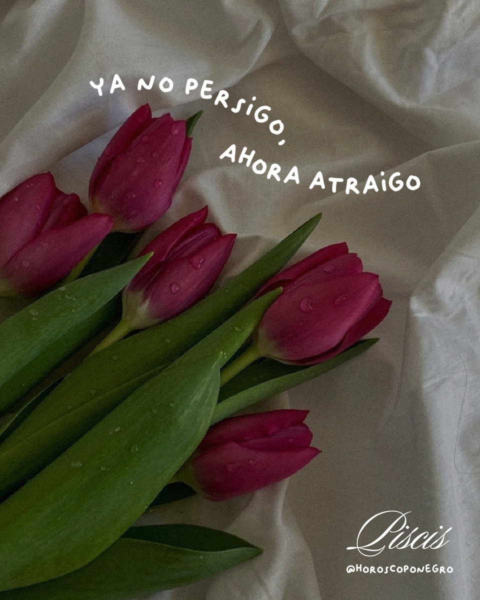piscis_hn's tweet photo. 💭 Pequeñas frases, grandes verdades.

Guarda este post para cuando lo necesites 💌 https://t.co/1MO2WrfyJp