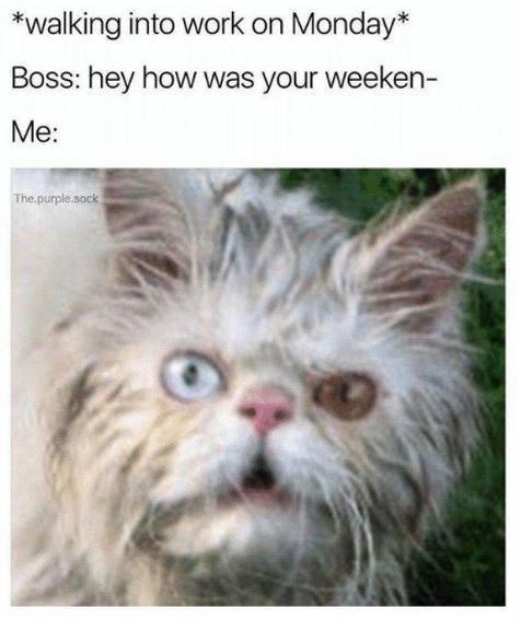 Good morning ☕️☕️