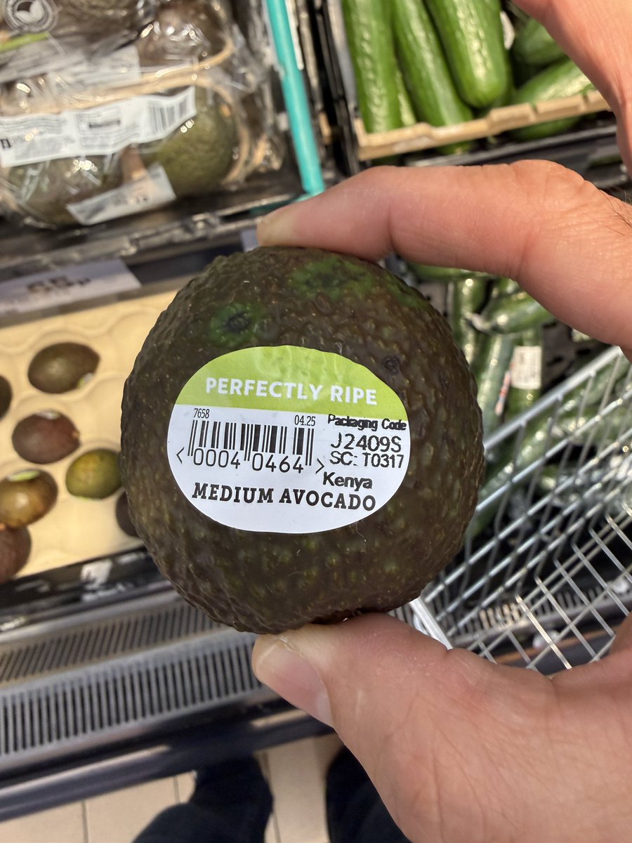 daniel sassian tweet media