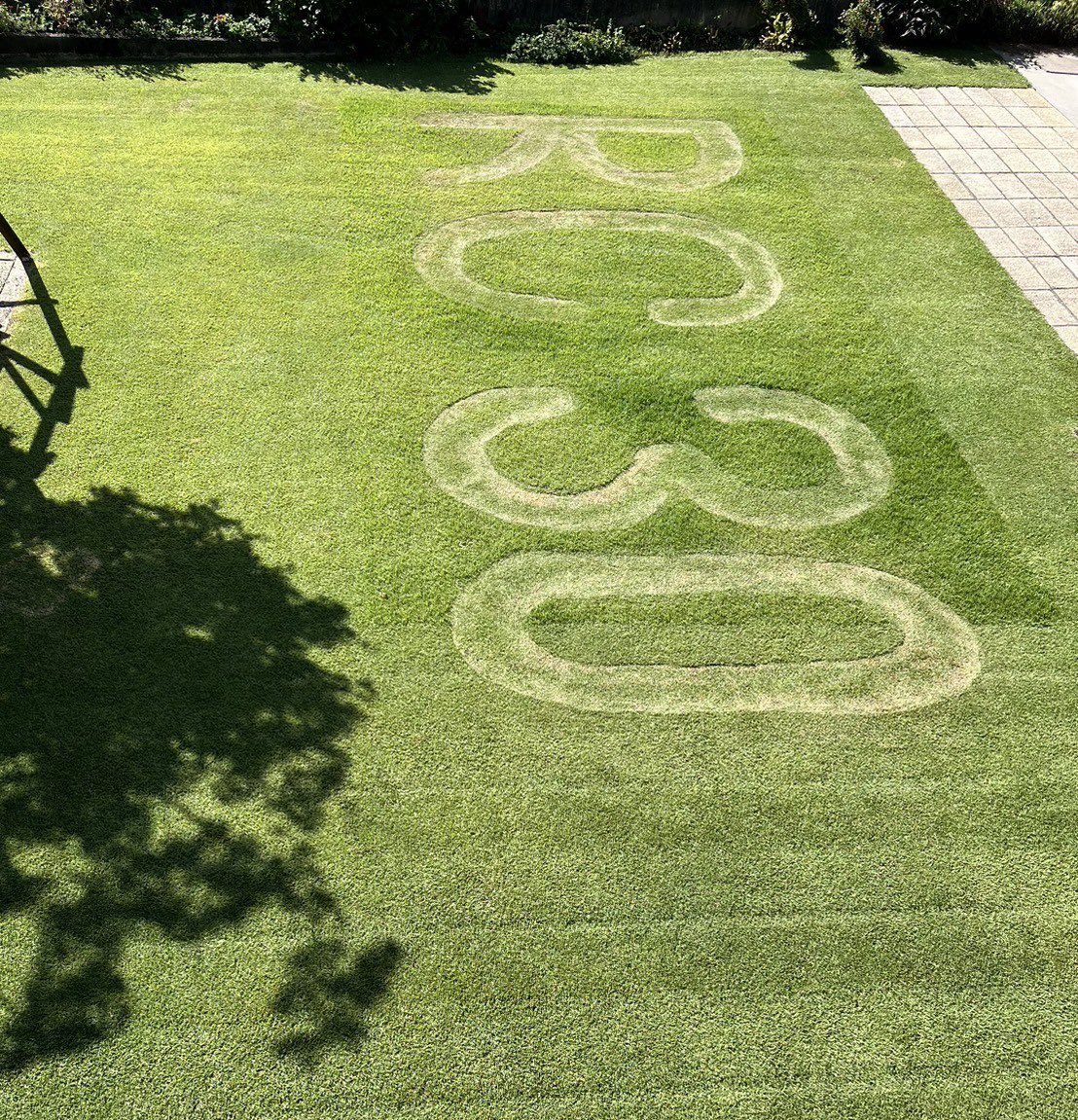 trentasette37_'s tweet image. 凄‼️
#hondaVFR750R
#RC30