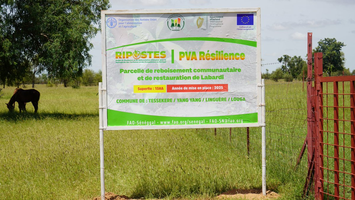 FAOSenegal's tweet image. Échange fructueux avec les autorités locales &amp;amp; remise de matériels aux bénéficiaires de la transformation des PFNL 🌰🌾
#RIPOSTES salue l'engagement communautaire pour les clubs DIMITRA &amp;amp; caisses AVEC !