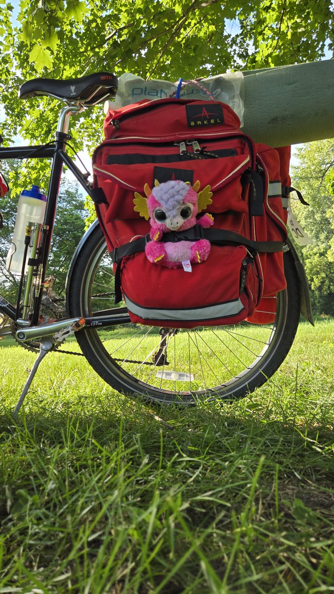 Adventure with Claus tweet media