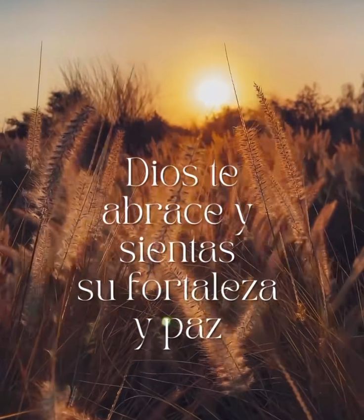 Buenos días mis amores deseo les vaya bonito! 🙏🤗😊☕