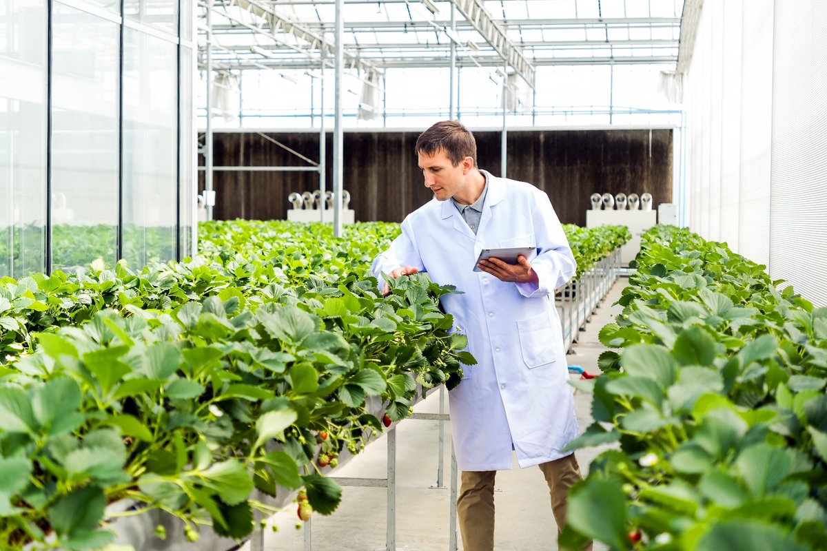 Agritech is transforming food security in 2025—think AI-powered farms, insect protein, and vertical growing 🌱🤖. Discover how innovation is reshaping our food future: azolifesciences.com/article/How-Ag… #Agritech #FoodSecurity
