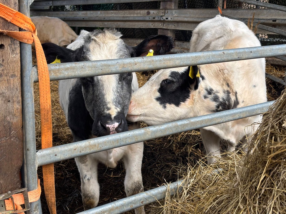 AgricConnect tweet media