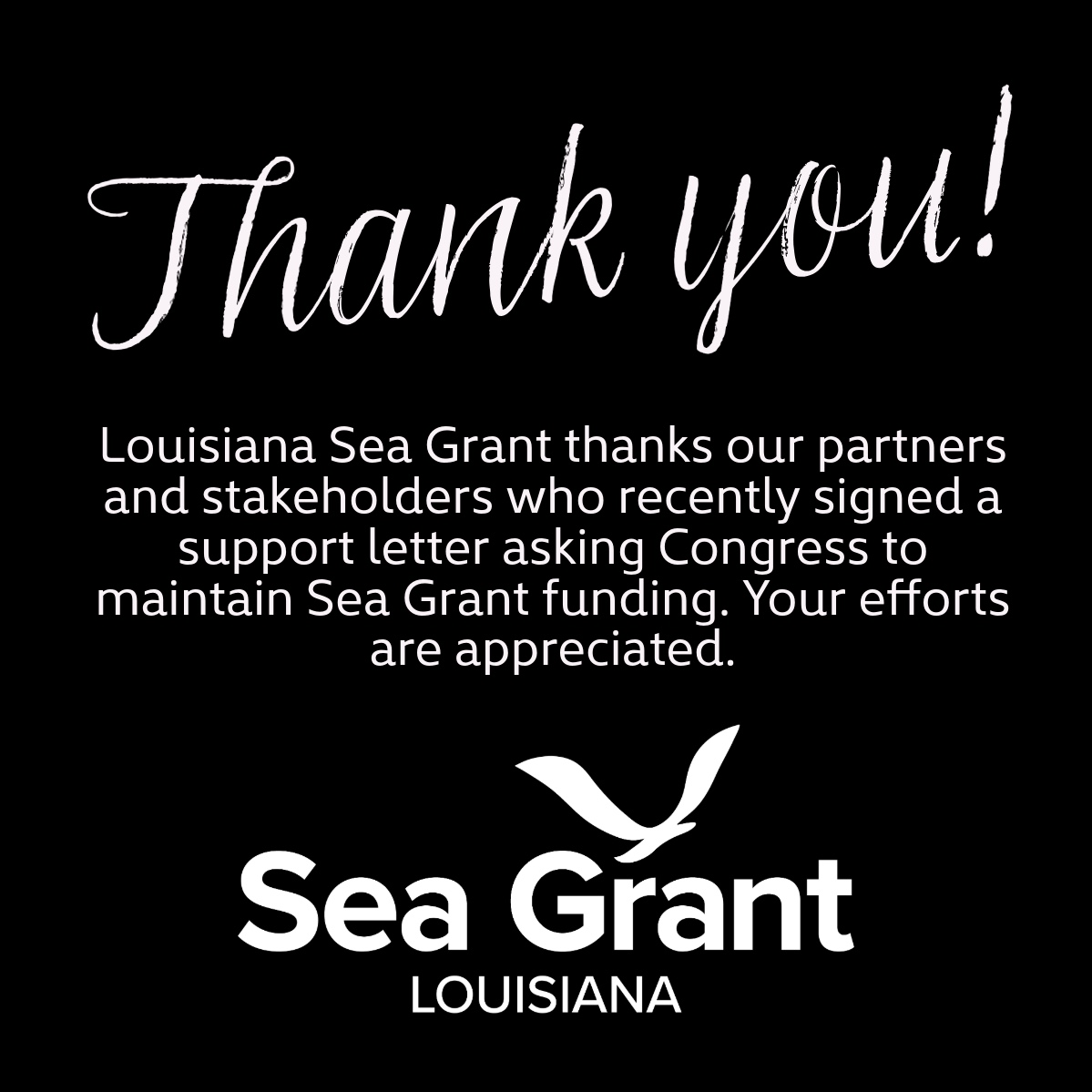 LASeaGrant's tweet image. Thanks to everyone who spoke up for Sea Grant. Your support keeps coastal research, education, and community programs moving forward.
#SeaGrant #LaSeaGrant