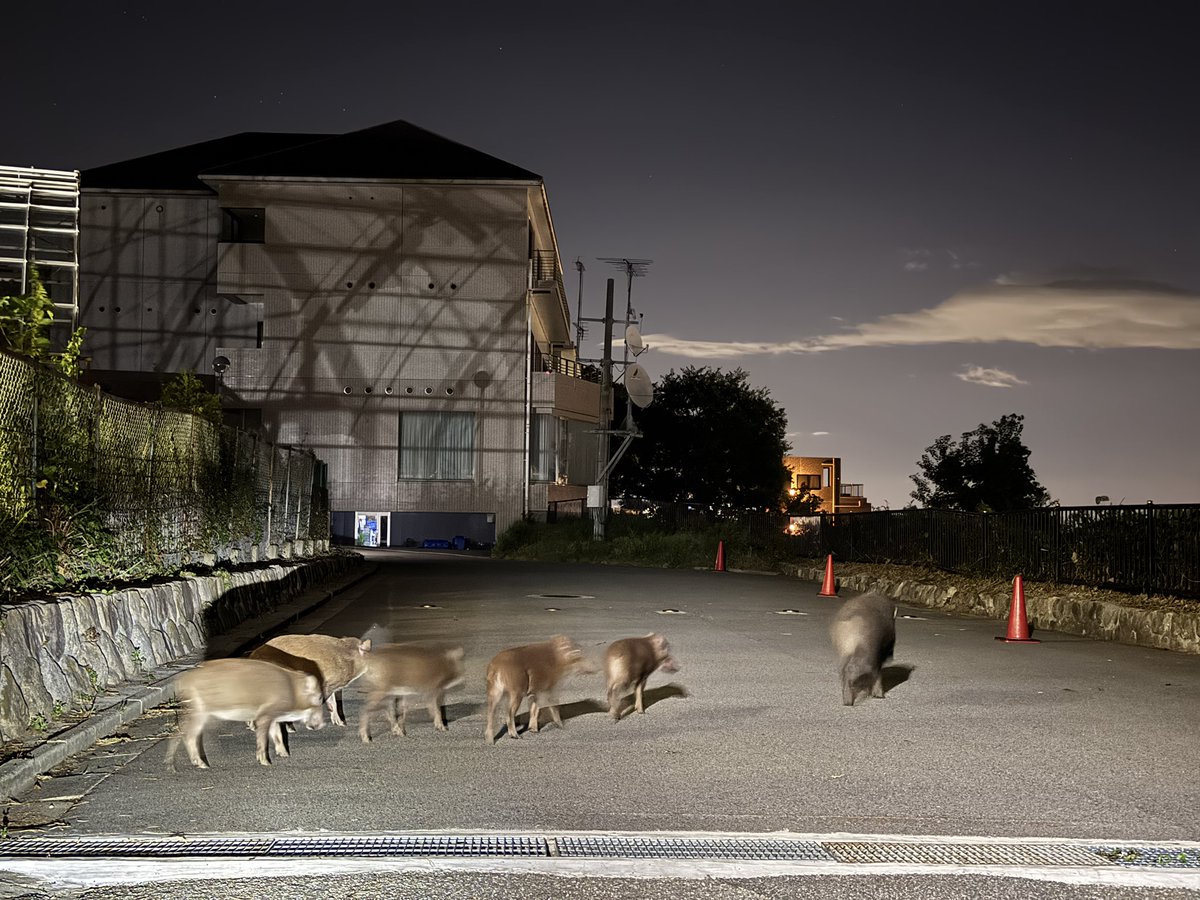 あまり夜遅くまで大学に残るもんじゃない