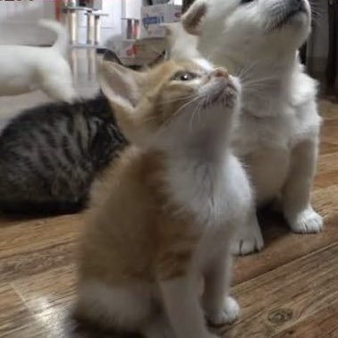 먛¹⁹⁹⁹ #TheFirstfruit🫑 (@independentboy_) on Twitter photo 