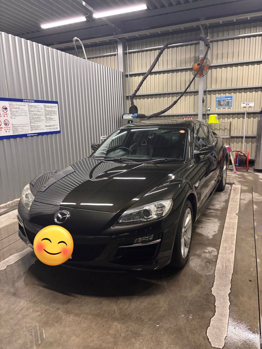 めっちゃ洗車した
