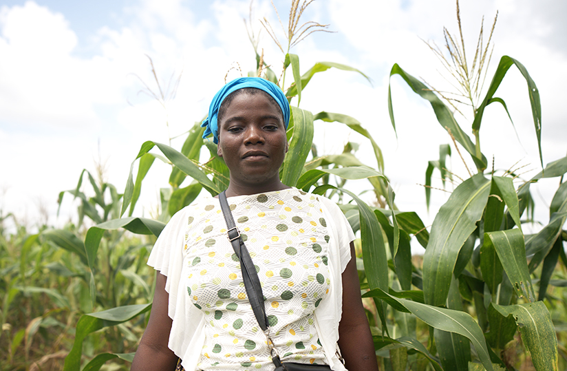 agridigitale1's tweet image. De l&apos;#informatique à l&apos;#agriculture, l’audace payante agridigitale.net/article/de-lin… #Togo