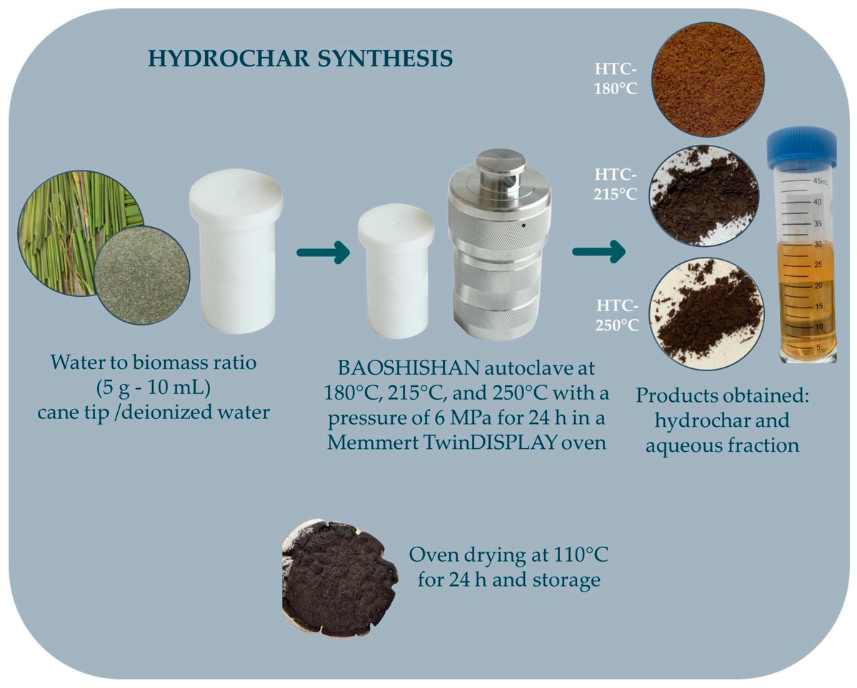 🔉Welcome to read the published paper

📌Hydrothermal Carbonization of Sugarcane Tip (Saccharum officinarum L.) for Pb (II) Removal: Synthesis, Characterization, and Adsorption Equilibrium 

🔎Learn more at: lnkd.in/dAqVyYXP
