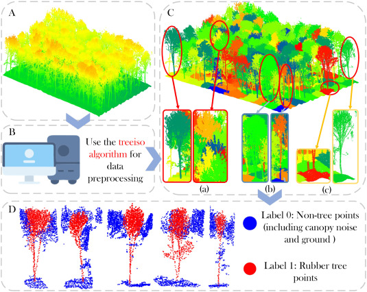 PPhenomics's tweet photo. Our new TM-WSNet segmentation network tackles rubber tree segmentation challenges with high precision. It uses advanced feature extraction and wavelet-based encoding for accuracy. #rubbertrees #agtech 
Details: https://t.co/kLjtIZqoJz https://t.co/Rw20PHD7rr
