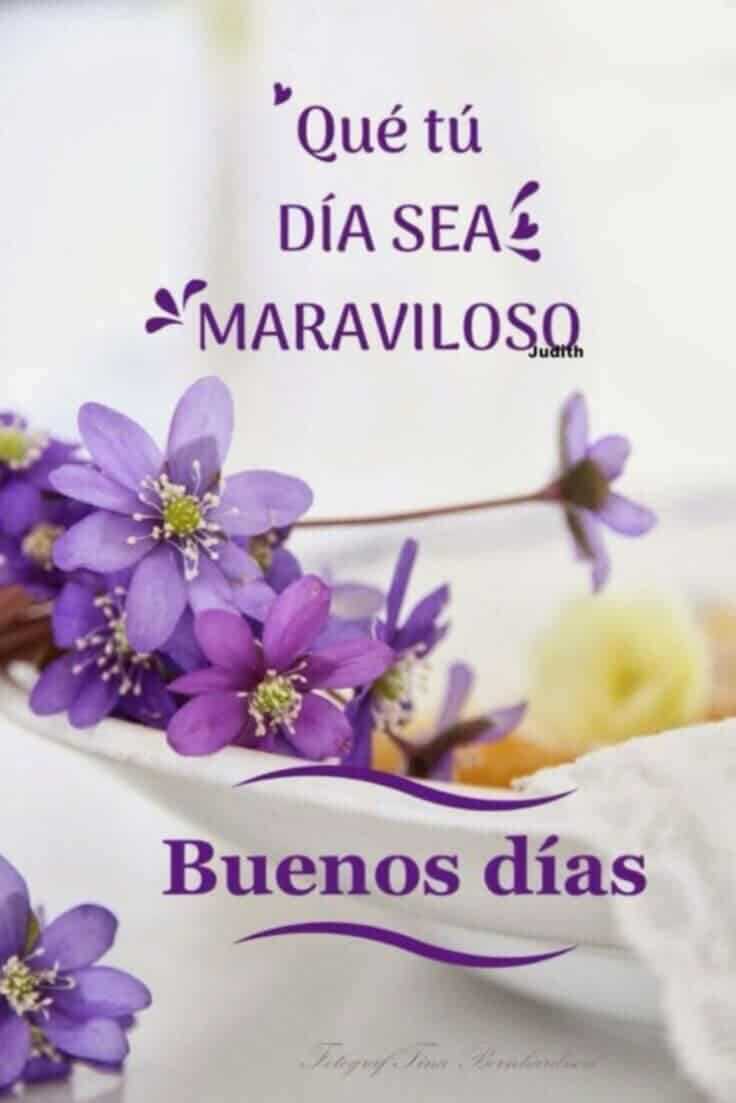 Aquí un hermoso día 😍