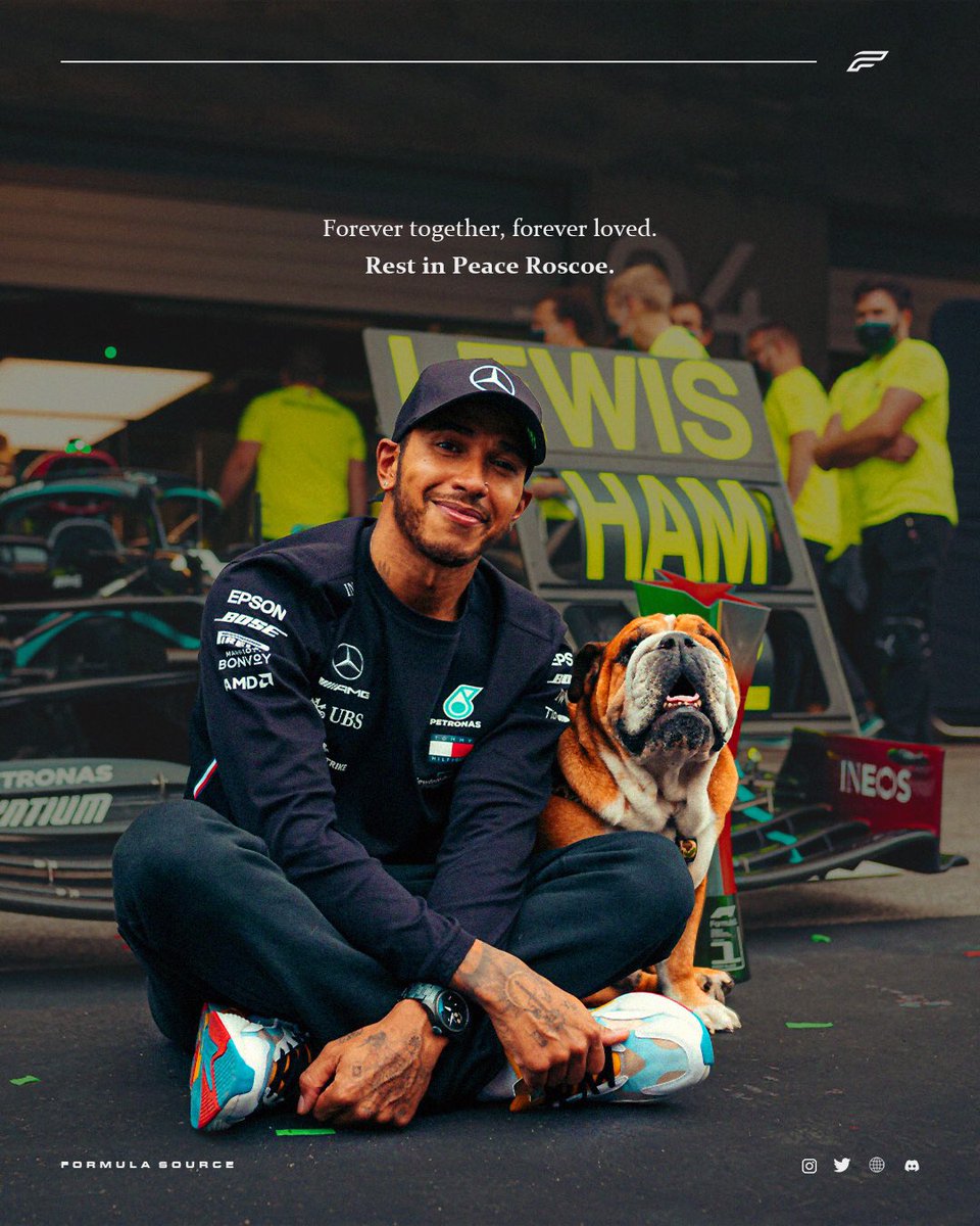 FormulaSourceIG's tweet image. Rest in peace, Roscoe. 🕊️

Hamilton shares the heartbreaking news of his beloved bulldog&apos;s passing after 4 days on life support. 

&quot;He gave everything until the very end. On Sunday evening I held him in my arms as he took his last breath.&quot;

Forever together, forever loved ❤️.