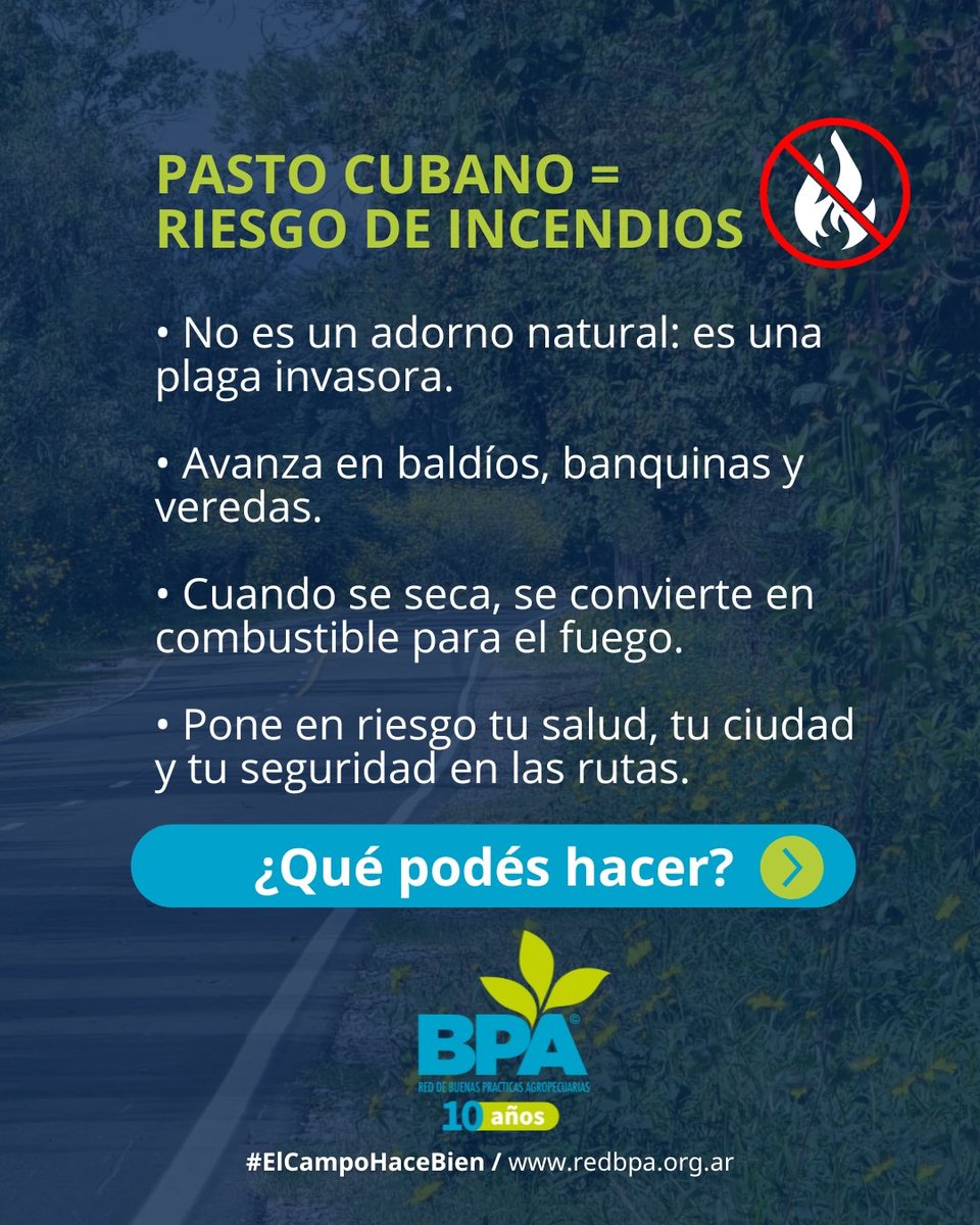 RedBPAs's tweet photo. ➡️ Controlar el yuyo cubano es parte esencial de las #BPA. Un manejo adecuado permite proteger la #productividad, cuidar el #suelo y fomentar una agricultura más sustentable.
Más info en esta nota 👉 https://t.co/DqSLpsIkoE
#YuyoCubano #BPA #controldemalezas #Jujuy #Salta https://t.co/hAaT8X8H5j
