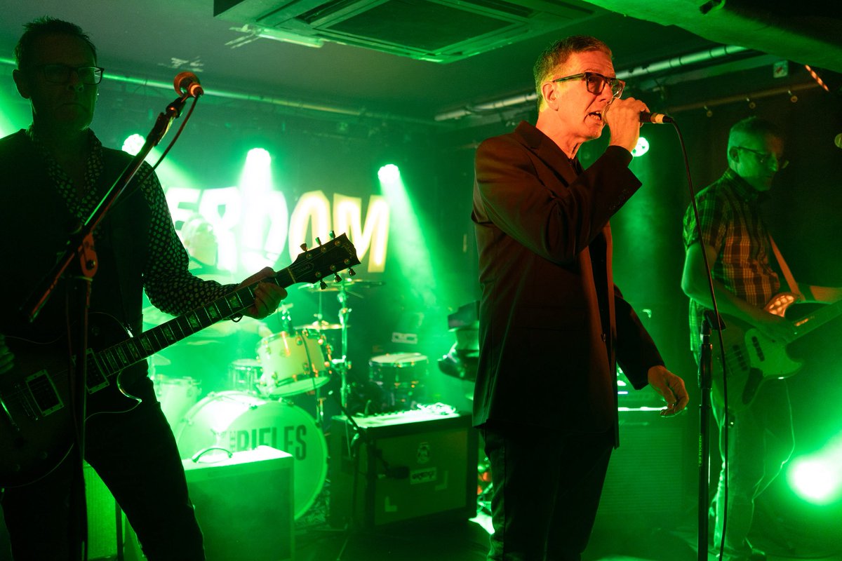 The Beelines tweet media