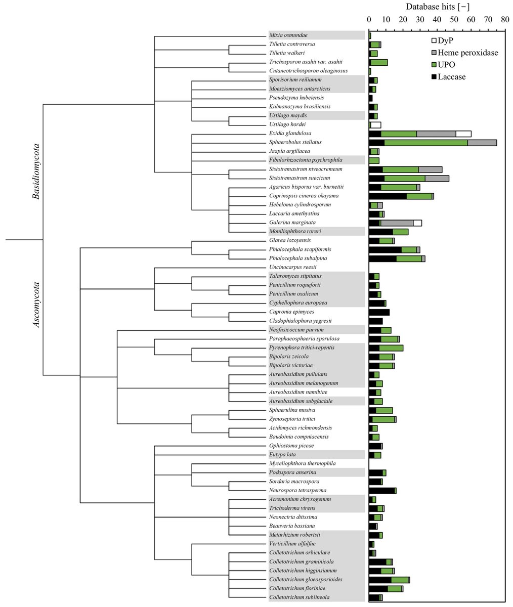 🌱🔬 Exploring Nature’s Catalysts for a Sustainable Future

Excited to share our published research: Biocatalytic Screening of the Oxidative Potential of Fungi Cultivated on Plant-Based Resources.

🔗Read more: mdpi.com/2673-9623/4/3/…