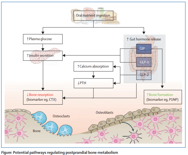 The Lancet Diabetes & Endocrinology tweet media