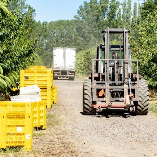 FINANCIAMIENTO PARA EL VALOR AGREGADO AGROALIMENTARIO
Destinado a productores y emprendedores rionegrinos que quieran transformar su producción e incorporar tecnología a la materia prima local.

COMPLETÁ EL FORMULARIO Y PRESENTÁ TU PROYECTO
bit.ly/46KeWtq
