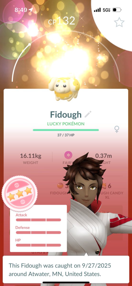 Pokémon Collector tweet media