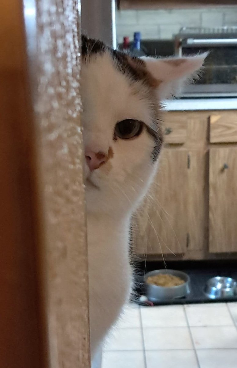 The midnight snack is not yours anymore.