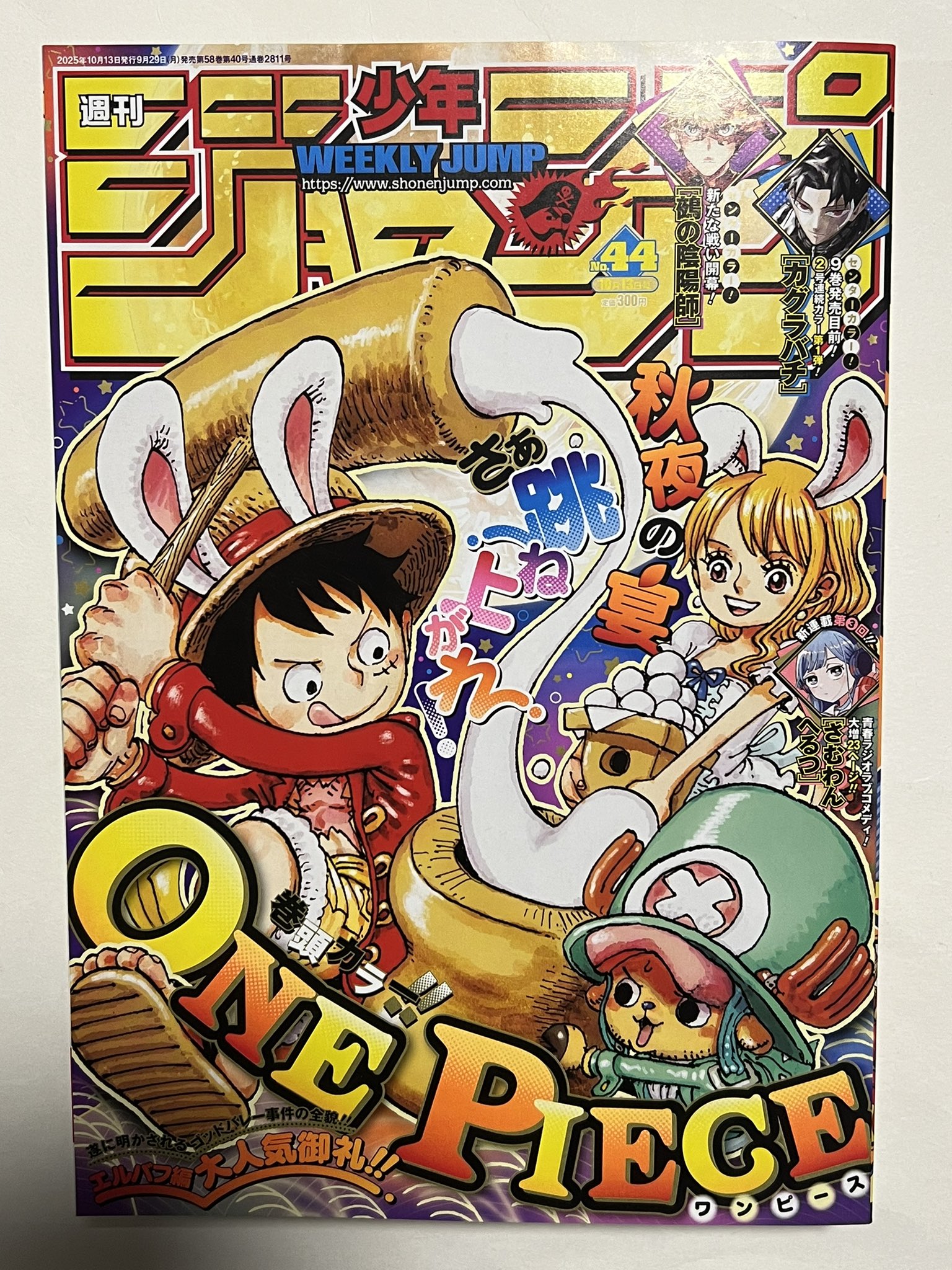 ジャンプ展 50周年 限定 ワンピース 複製原画 A 受注生産 ナミ ルフィ ワンピース ジャンプ展 50周年 限定 複製原画 A 受注生産 ナミ