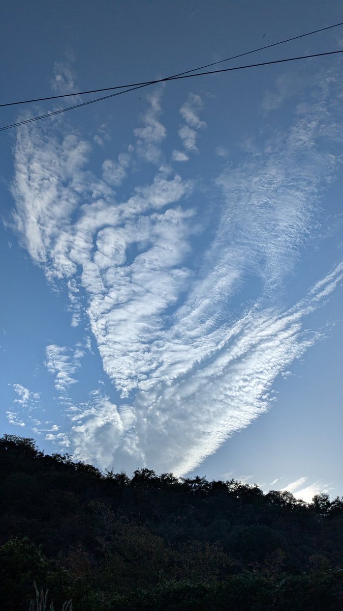 SunsetTommy's tweet photo. 25.9.29 Mon.
朝晩ちょっと涼しくなったかなと思ったら９月もあと1日
久しぶりに近くの公園に散歩したら、ススキの穂が出てるし、桜の葉も色づきつつあり、季節は着実に進んでる
#秋 #相生市 #岩屋谷公園 #兵庫県 #autumn #Hyogopref #Japan https://t.co/fkF5skWb1a