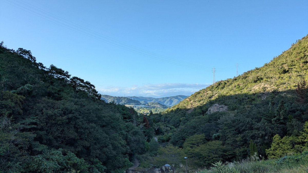 SunsetTommy's tweet photo. 25.9.29 Mon.
朝晩ちょっと涼しくなったかなと思ったら９月もあと1日
久しぶりに近くの公園に散歩したら、ススキの穂が出てるし、桜の葉も色づきつつあり、季節は着実に進んでる
#秋 #相生市 #岩屋谷公園 #兵庫県 #autumn #Hyogopref #Japan https://t.co/fkF5skWb1a