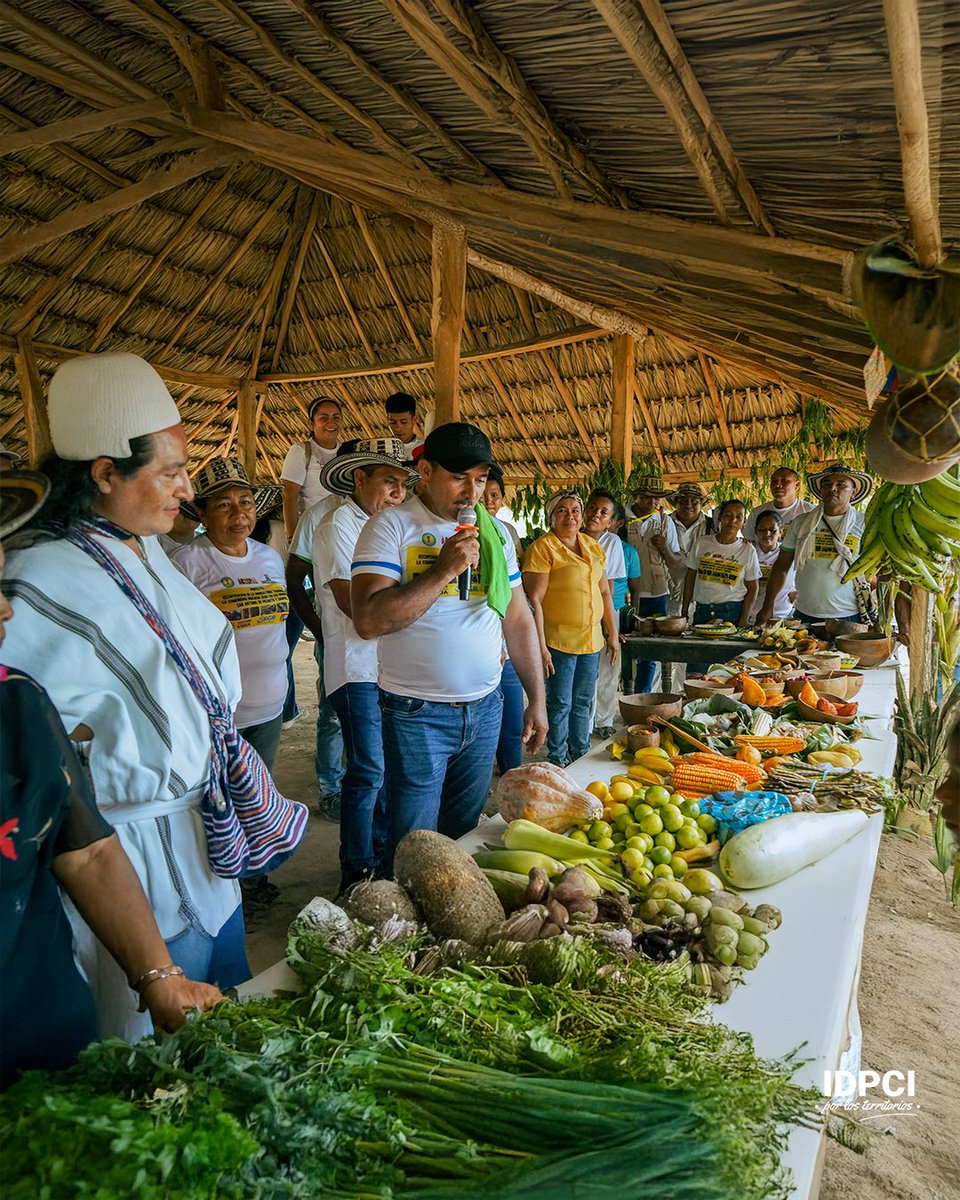 📷📷 #RegalíasParaLaVida | En la comunidad Zenú de Pinchoroy, municipio de San Antonio de Palmito – Sucre, acompañamos la entrega del proyecto “Recuperación de la agricultura tradicional de la comunidad indígena Zenú en los municipios de San Antonio de Palmito y Sampués.”
Este