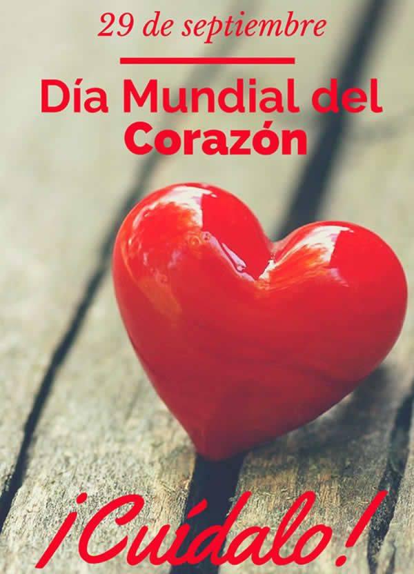 ❤️🧡💛💚💙💜