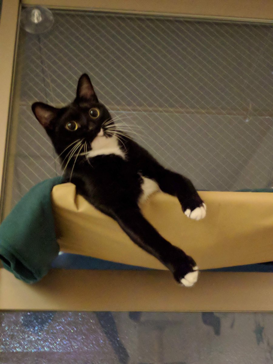 凪 nagi🐈‍⬛ tweet media