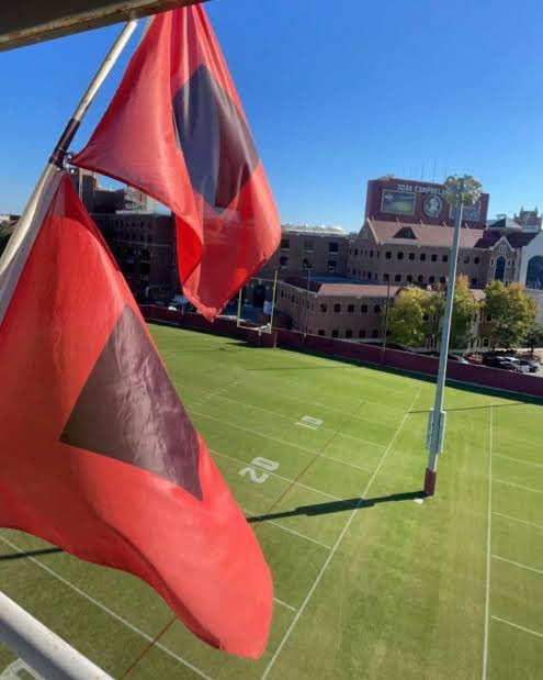 TaReef KnockOut tweet media