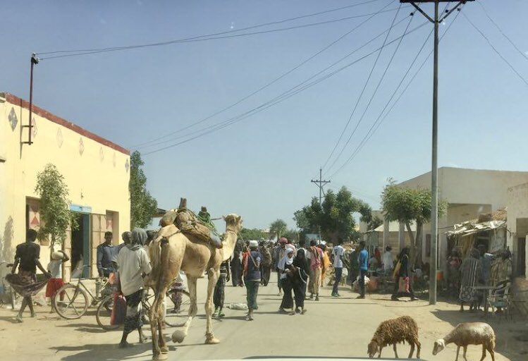 Foro فورو, ፎሮis a town in the Northern Red Sea region of Eritrea. one of the 10 sub-zones of the Northern Red Sea Region, Foro sub-zone borders Massawa to the north, Gelalo sub-zone to the southern east, Ghinda’e sub-zone to the northern west and the Southern region to the