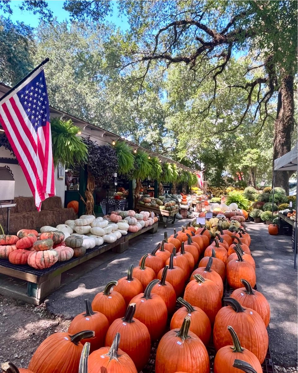 TweetHomeAla's tweet image. Pumpkin paradise found at Hazel’s Market in Daphne! Local charm meets fall spirit. 🎃 #AlabamaTravel bit.ly/3Dq0pIq

📷: catchav on Instagram