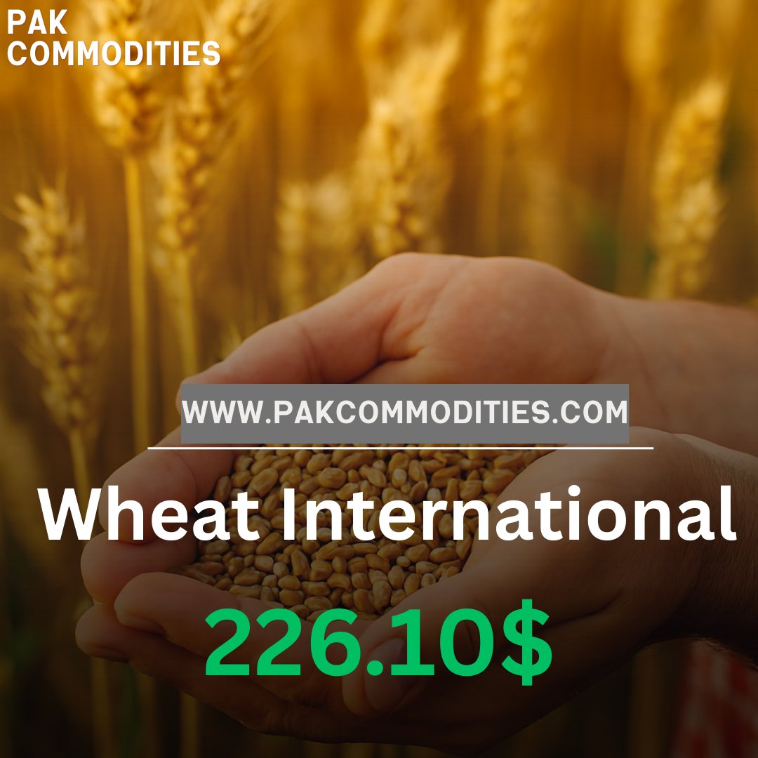 pakcommodities1's tweet image. Pak commodities Islamabad
#wheat #marketupdate #pakcommodities