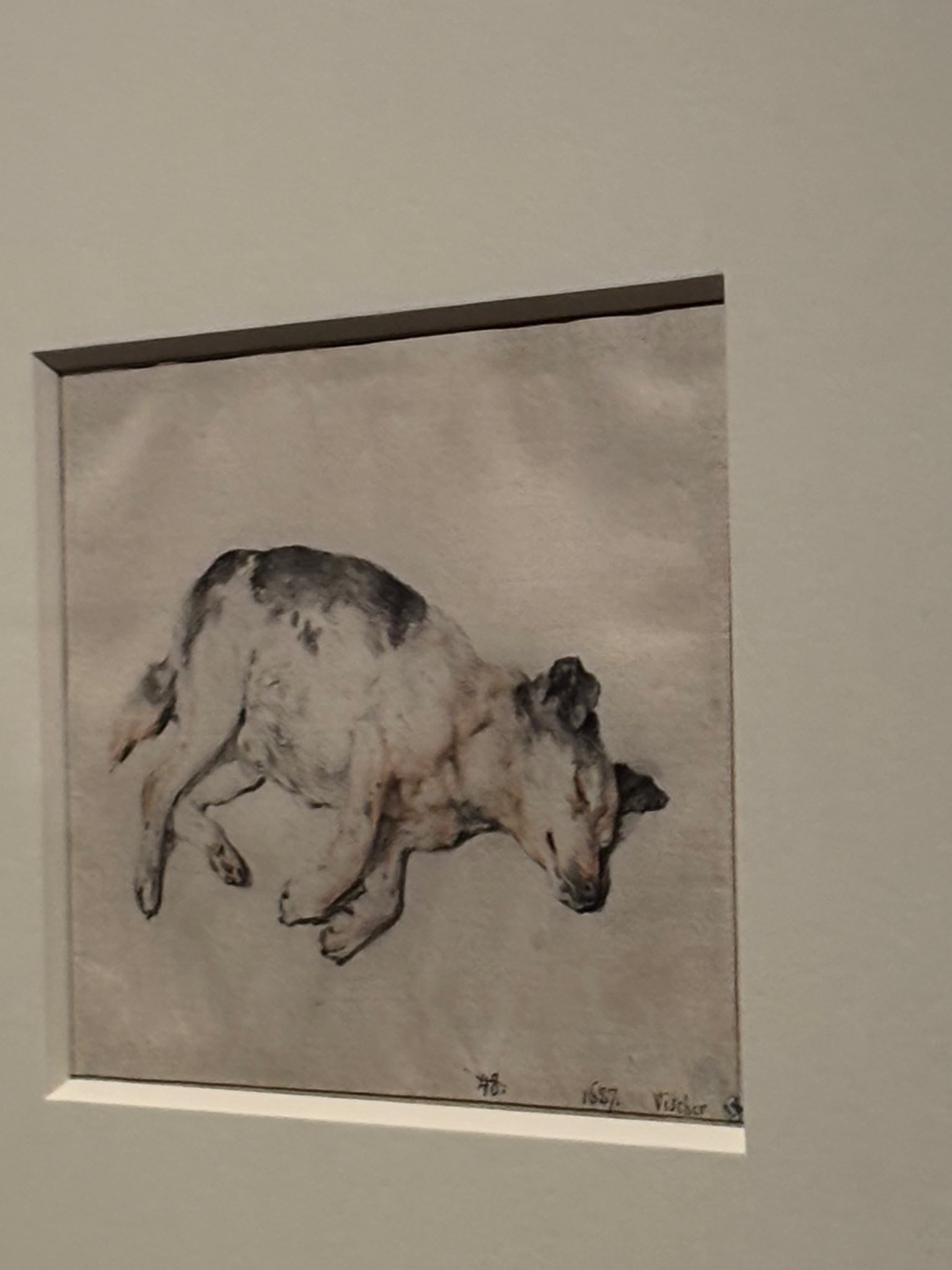 絵画ANNA.k ダチョウの背中 絵画ANNA.k ダチョウの背中 独創的 絵画ANNA.k 絵画 ダチョウの