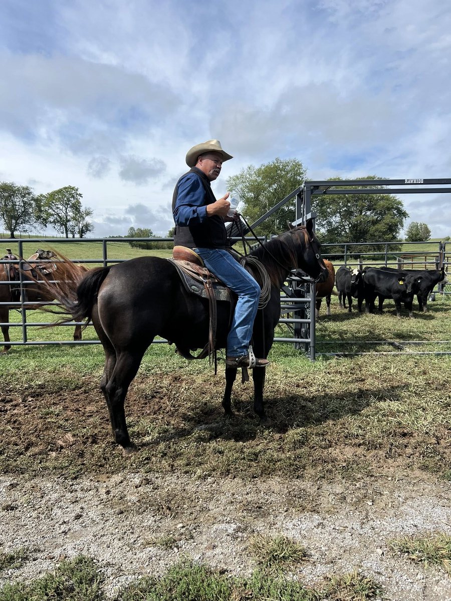 UT AgResearch tweet media