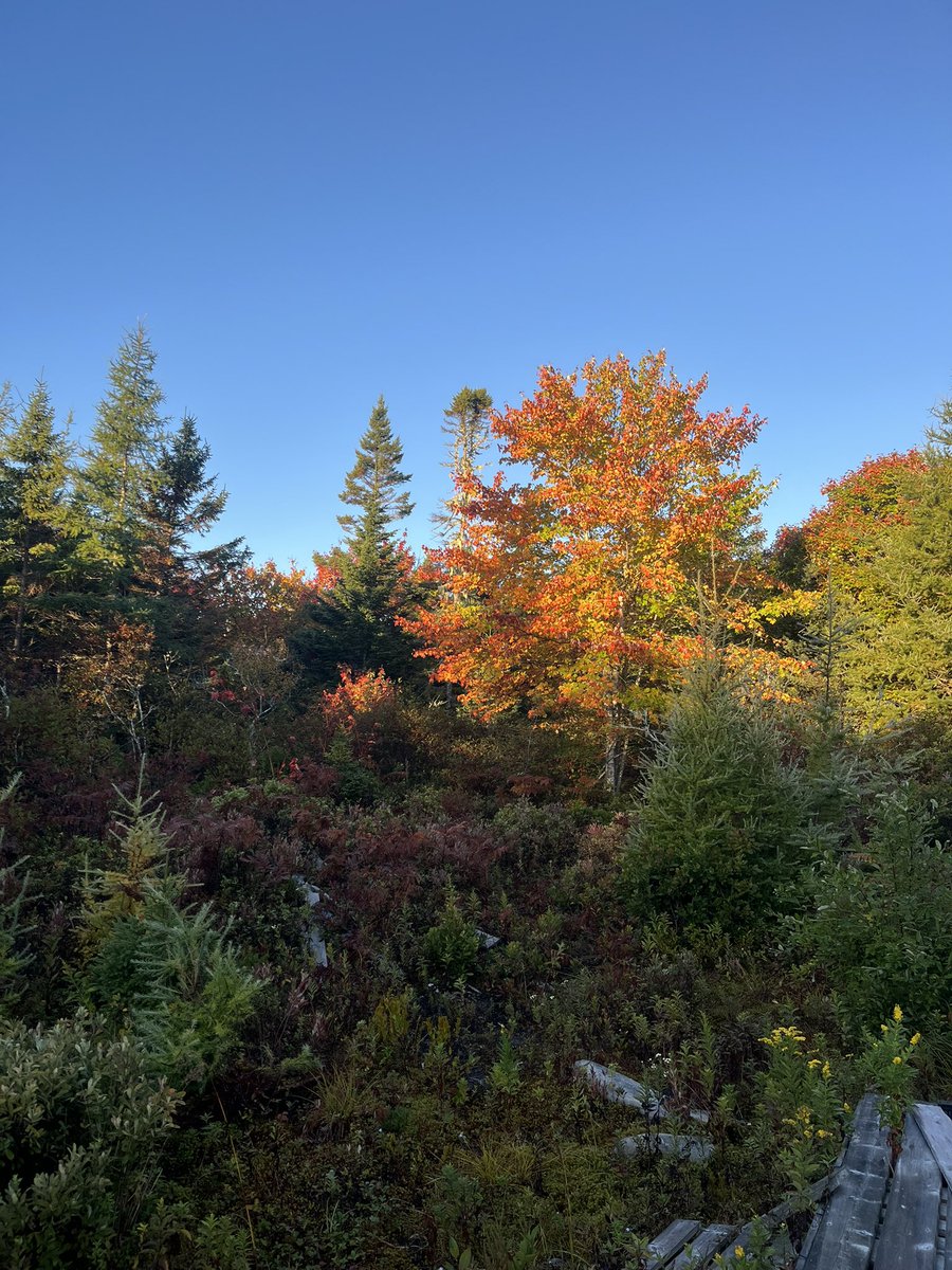 A beautiful weekend