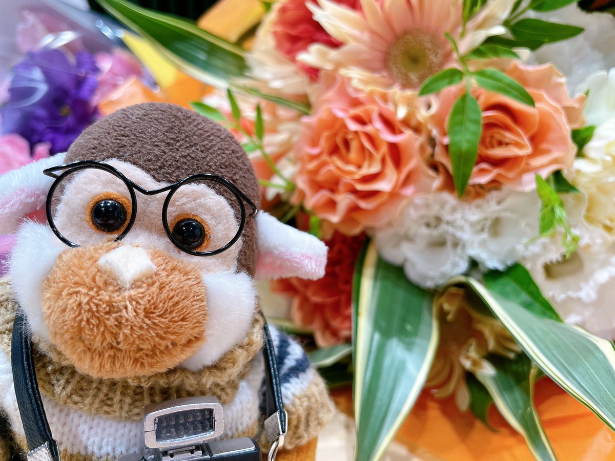 【最終回オフショット📸】

明日恋には欠かせない
沼ちゃんの相棒”よしお”🐒

いつもそばで
収録を見守ってくれていました☺️

／
3年間本当にありがとう🍌
またね…！
⁡
🐵よしお🐵
＼
⁡
最終回は10月4日（土）まで
radikoのタイムフリーで聞けます👇
radiko.jp/share/?sid=TBS…
⁡
#asukoi #飯沼愛