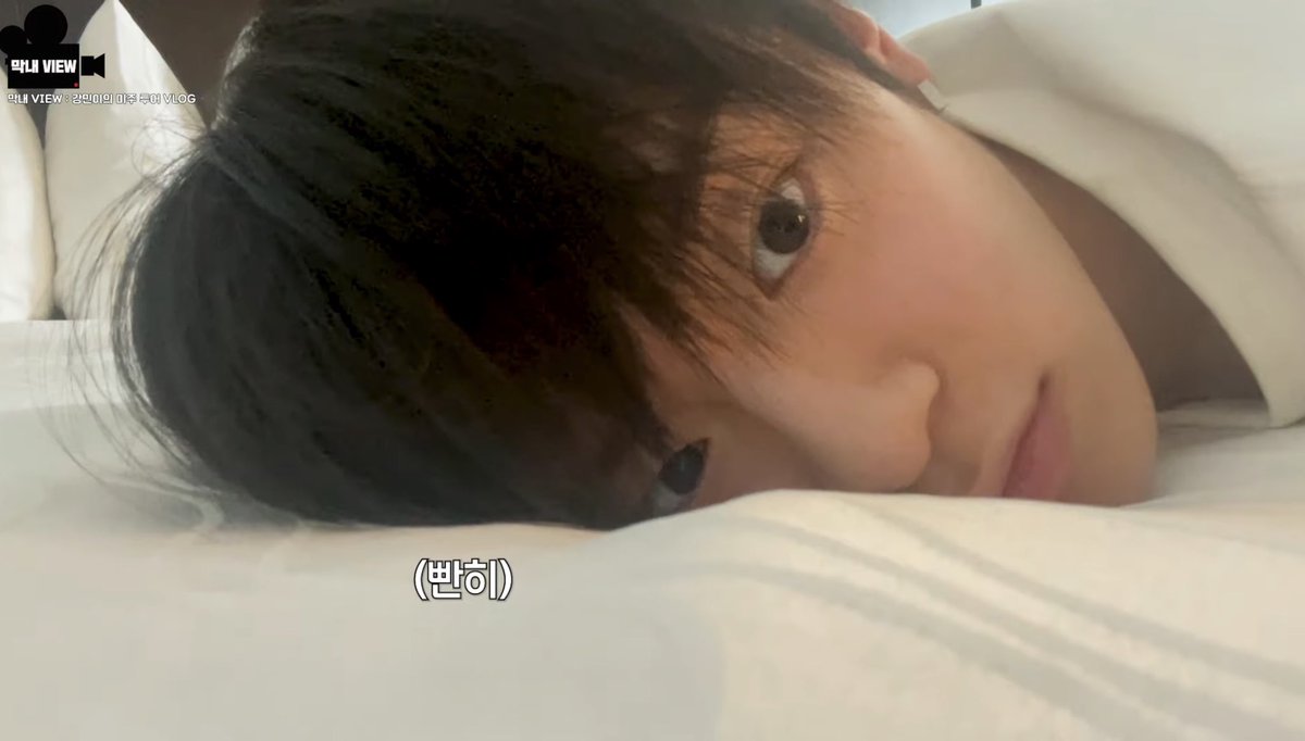 홈런볼 tweet media