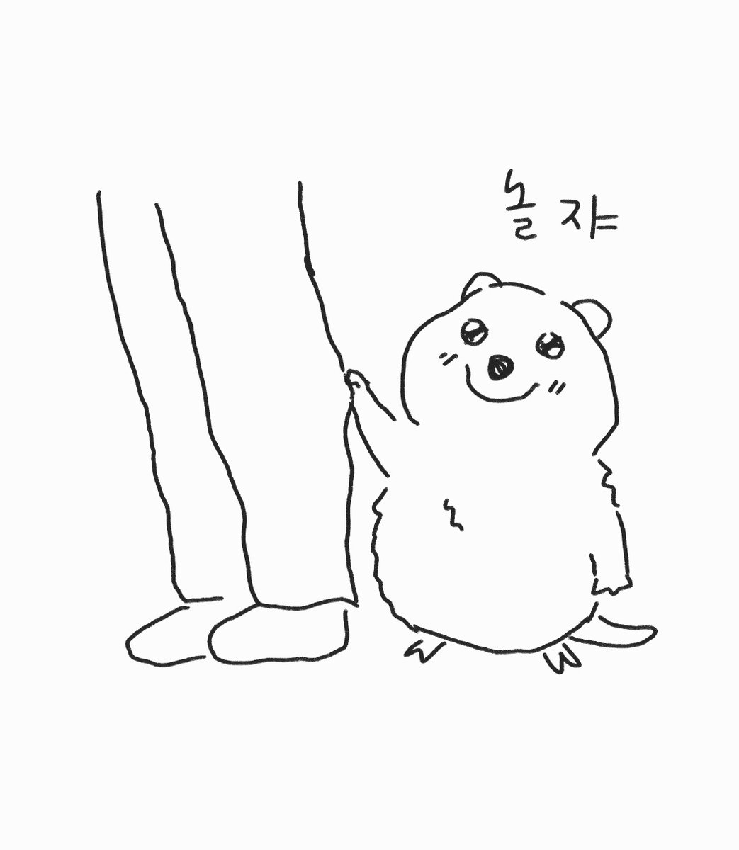 쿼카가 바짓가랑이 잡고 놀자고 하면 어쩔거야