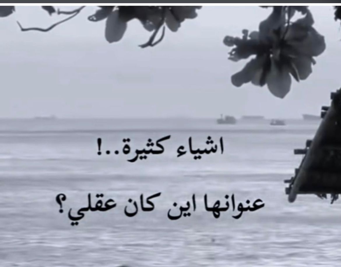 Maged Ali tweet media